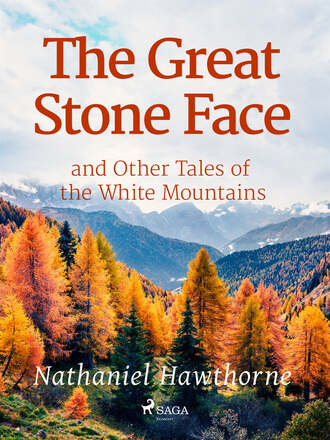 The Great Stone Face and Other Tales of the White Mountains – E-bok – Laddas ner