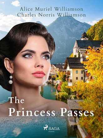 The Princess Passes – E-bok – Laddas ner