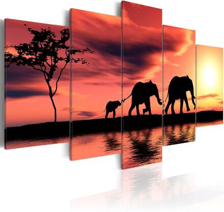 Canvas Tavla - African elephants family - 200x100