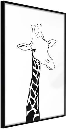 Inramad Poster / Tavla - Black and White Giraffe - 20x30 Svart ram