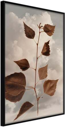 Inramad Poster / Tavla - Leaves in the Clouds - 40x60 Svart ram