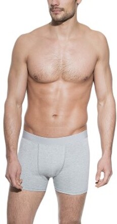 Bread and Boxers Boxer Brief Grå økologisk bomull X-Small Herre