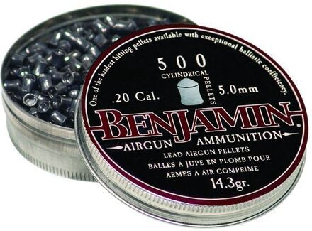 Benjamin .20 Cal Cylinder Pellets