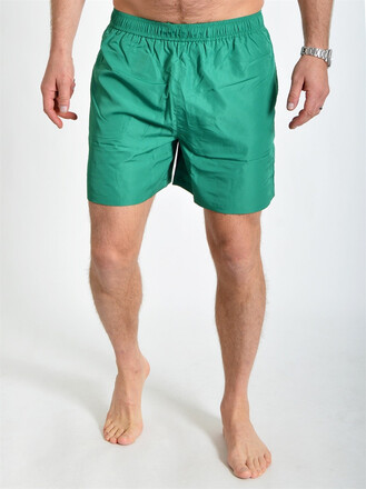 Berg Shorts Verdant Green (L)