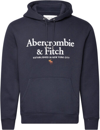 Anf Mens Sweatshirts Tops Sweatshirts & Hoodies Hoodies Navy Abercrombie & Fitch