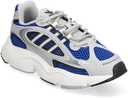 Ozmillen J Sport Sports Shoes Running-training Shoes Multi/patterned Adidas Originals