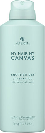 My Hair My Canvas Another Day Dry Shampoo 124 Gr Torrschampo Nude Alterna