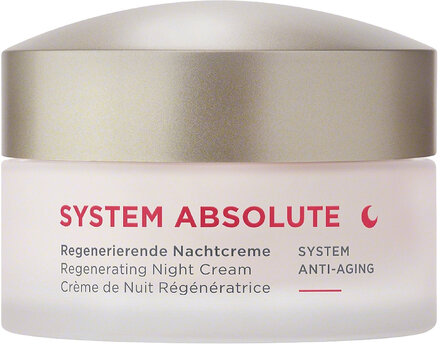System Absolute Night Cream Beauty Women Skin Care Face Moisturizers Night Cream Nude Annemarie Börlind