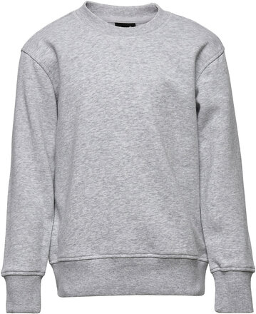 Claudio Boys Sweatshirt Tops Sweatshirts & Hoodies Sweatshirts Grey Claudio