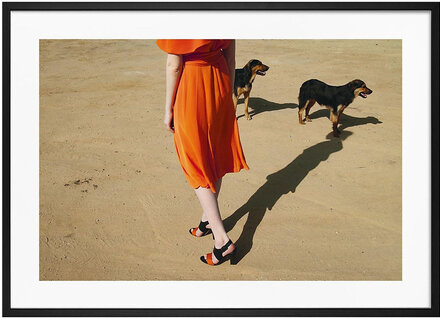 Poster Walking Dogs Home Decoration Posters & Frames Posters Photographs Oransje Democratic Gallery*Betinget Tilbud