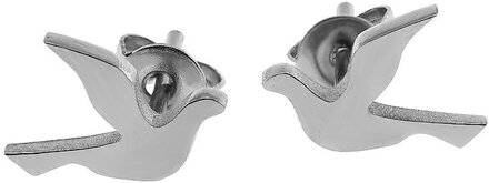 Dove Studs Accessories Jewellery Earrings Studs Silver Edblad