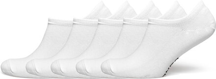 Organic Cotton Sneaker Sock Ankelstrumpor Korta Strumpor White Frank Dandy