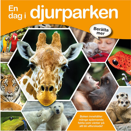 En Dag I Djurparken Toys Kids Books Educational Books Multi/mønstret GLOBE*Betinget Tilbud