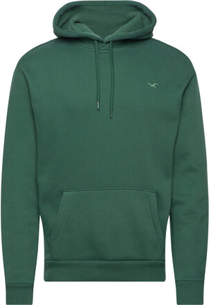 Hco. Guys Sweatshirts Tops Sweatshirts & Hoodies Hoodies Green Hollister