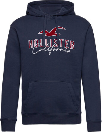 Hco. Guys Sweatshirts Tops Sweatshirts & Hoodies Hoodies Navy Hollister