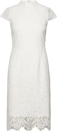 Stand-Up Collar Lace Dress Dresses Party Dresses White IVY OAK