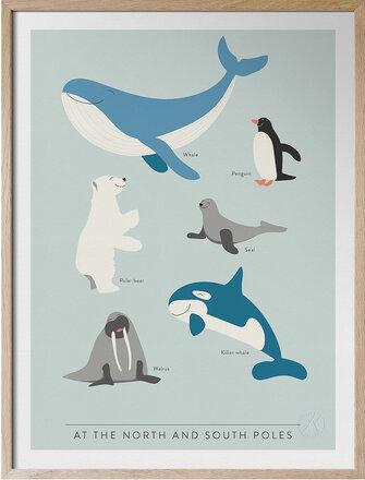 At The North And South Poles - På Engelska Home Kids Decor Posters & Frames Posters Multi/patterned Kunskapstavlan®