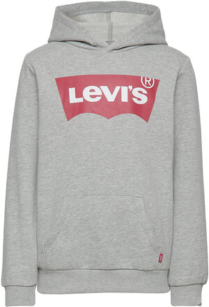 Levi's® Screenprint Batwing Pullover Hoodie Tops Sweat-shirts & Hoodies Hoodies Grey Levi's