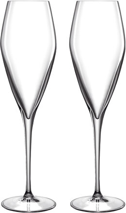 Champagneglass Prosecco Lb Atelier Home Tableware Glass Champagne Glass Nude Luigi Bormioli*Betinget Tilbud