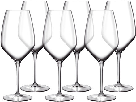 Hvidvinsglas Sauvignon Atelier 35 Cl 6 Stk. Klar Home Tableware Glass Wine Glass White Wine Glasses Nude Luigi Bormioli