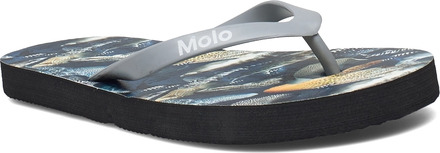 Zeppo Shoes Summer Shoes Flip Flops Blå Molo*Betinget Tilbud