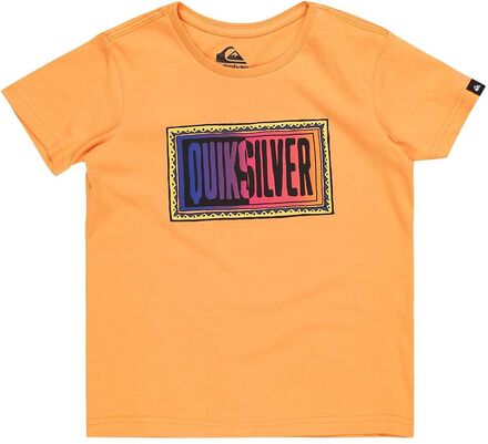 Day Tripper Ss Boy Tops T-Kortærmet Skjorte Orange Quiksilver