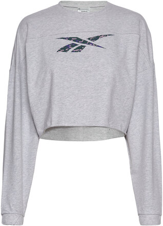 Modern Safari Coverup Sport Sweatshirts & Hoodies Sweatshirts Grey Reebok Performance