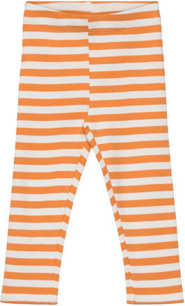 Sgissey Yd Striped Leggings Acorn Bottoms Leggings Orange Soft Gallery