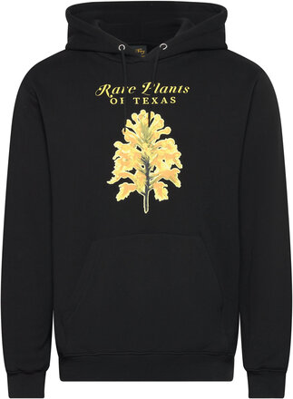 Rare Plants Hood Hettegenser Genser Svart Stan Ray*Betinget Tilbud