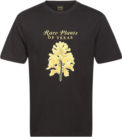 Rare Plants Tee T-shirts Short-sleeved Svart Stan Ray*Betinget Tilbud