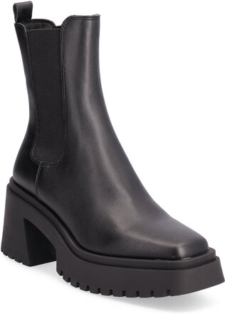 Parkway Bootie Shoes Chelsea Boots Black Steve Madden