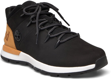Mid Lace Up Sneaker Designers Sneakers Low-top Sneakers Black Timberland
