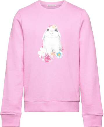 Photoprint Sweatshirt Tops Sweatshirts & Hoodies Sweatshirts Pink Tom Tailor