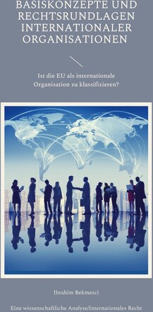 Basiskonzepte und Rechtsrundlagen internationaler Organisationen