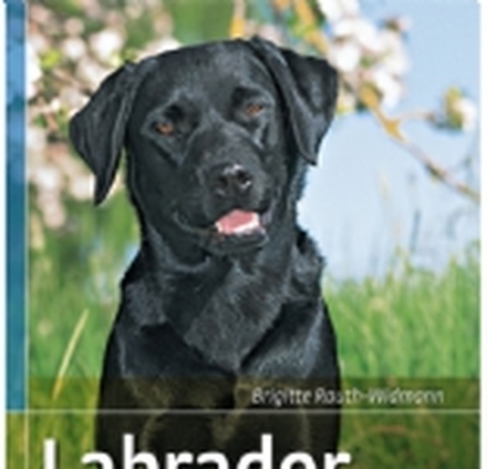 Labrador retriever | Brigitte Rauth-Widmann | Språk: Dansk