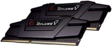 G.Skill Ripjaws V - DDR4 - sett - 32 GB: 2 x 16 GB - DIMM 288-pin - 4400 MHz / PC4-35200 - CL19 - 1.5 V - ikke-bufret - ikke-ECC - klassisk svart