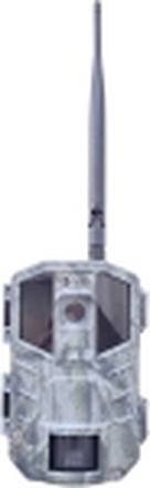 Berger & Schröter Vildtkamera 14.0 Megapixel Lydoptagelse, 4G billedoverførsel, GSM-modul