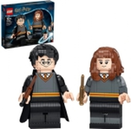 LEGO Harry Potter 76393 - Harry Potter & Hermione Granger