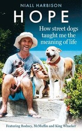 Hope - How Street Dogs Taught Me The Meaning Of Life