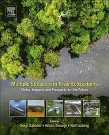 Multiple Stressors in River Ecosystems