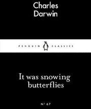 It Was Snowing Butterflies