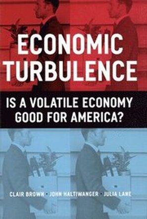 Economic Turbulence