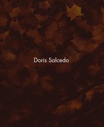 Doris Salcedo