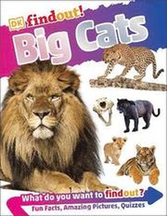 DKfindout! Big Cats