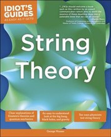 Complete Idiot's Guide to String Theory