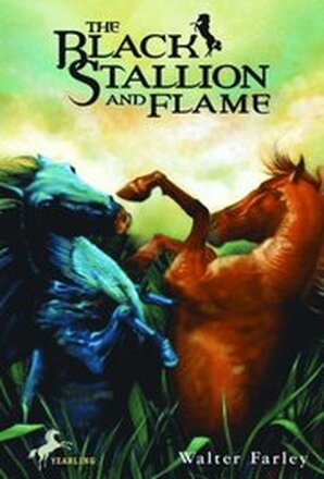 Black Stallion and Flame