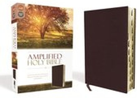 Amplified Holy Bible, Bonded Leather, Burgundy, Thumb Indexed