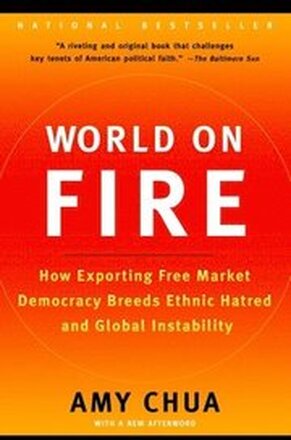 World on Fire: How Exporting Free Market Democracy Breeds Ethnic Hatred and Global Instability