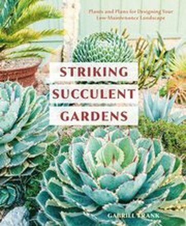 Striking Succulent Gardens: A Gardening Book