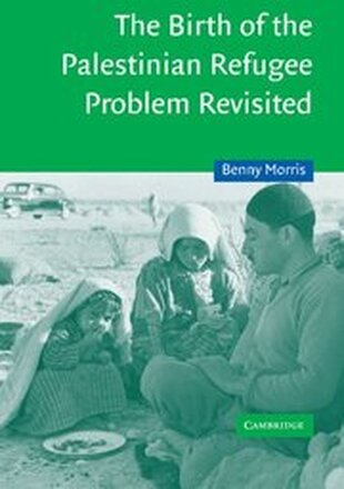 The Birth of the Palestinian Refugee Problem Revisited